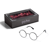 Harry Potter’s Glasses