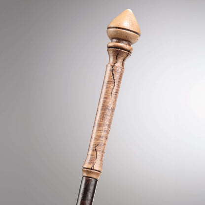 Hermione Granger’s First Wand in Ollivanders box