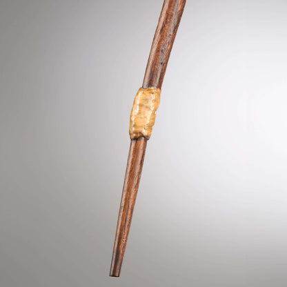 Ron Weasley’s First Wand in Ollivanders Box