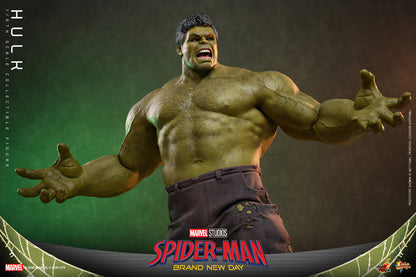 Hot Toys Hulk Brand New Day 1/6 scale figure — display stand